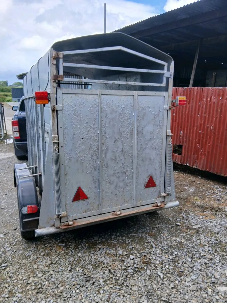 2cow cattle trailer galvinsed dipp call 0868782672 - Image 2