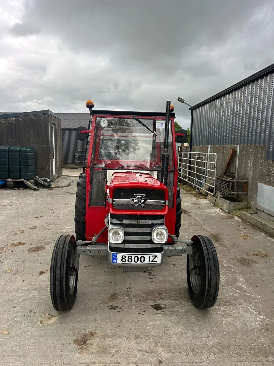 Massey Ferguson 135 - Image 2