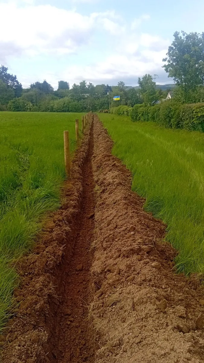 PLANT HIRE AVAILABLE ( gardening &groundworks etc) - Image 4
