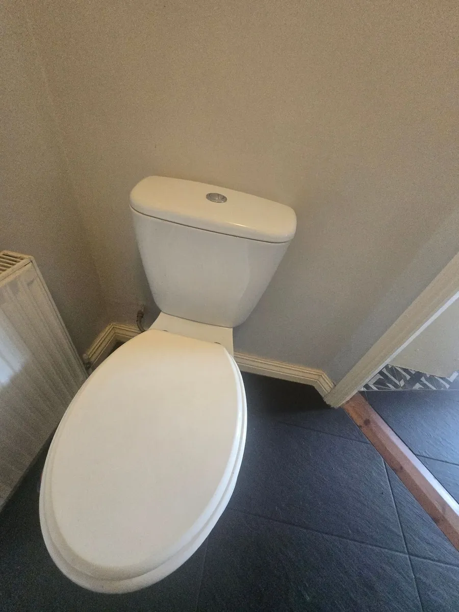 Toilet and basin - Image 3