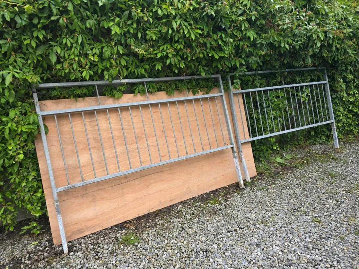 Fencing - Image 2
