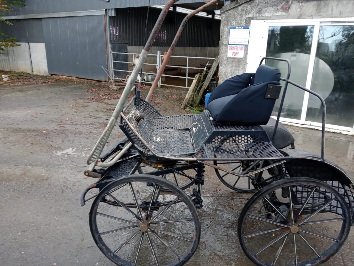 Horse carriage - Image 2