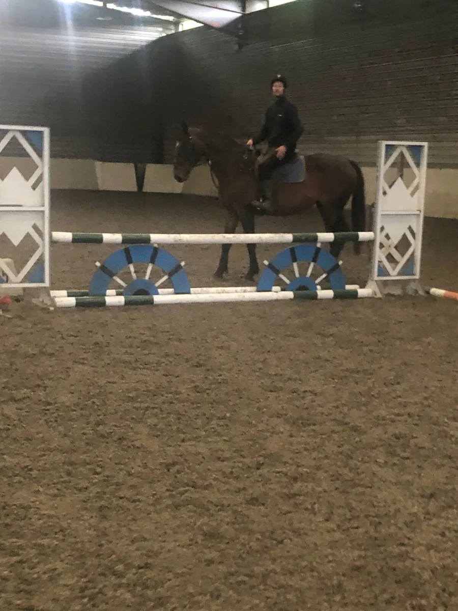 Horses - Image 3