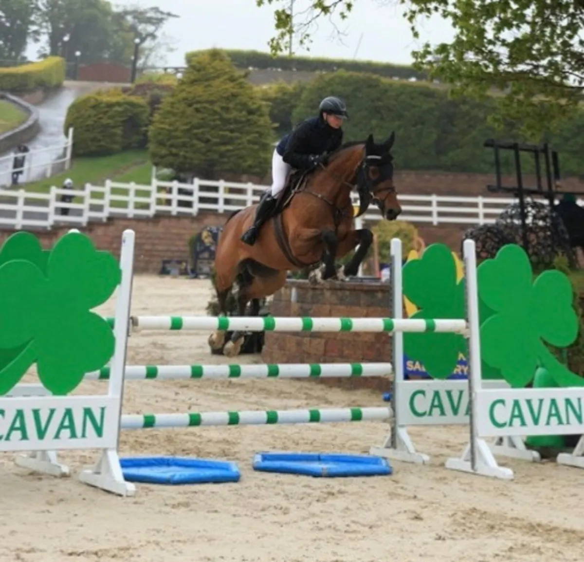 16 year old schoolmaster - Image 2