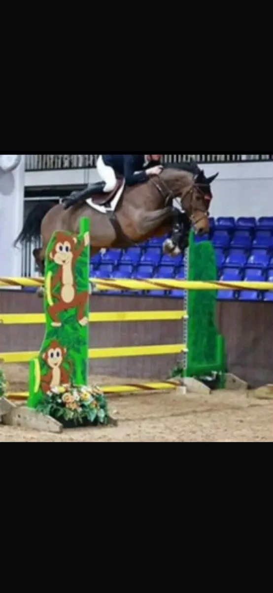 16 year old schoolmaster - Image 1