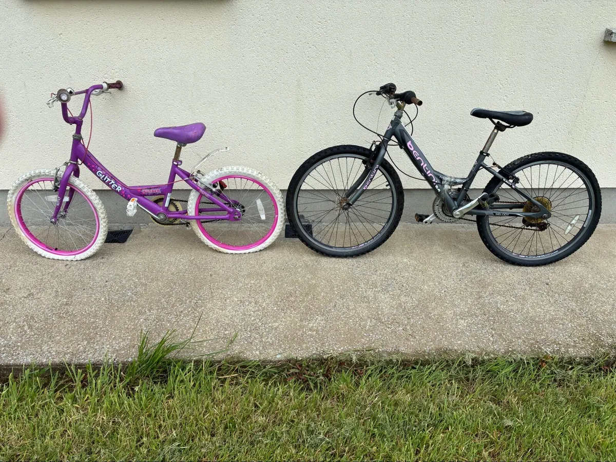 Two Girls Bicycles FREE - Image 1