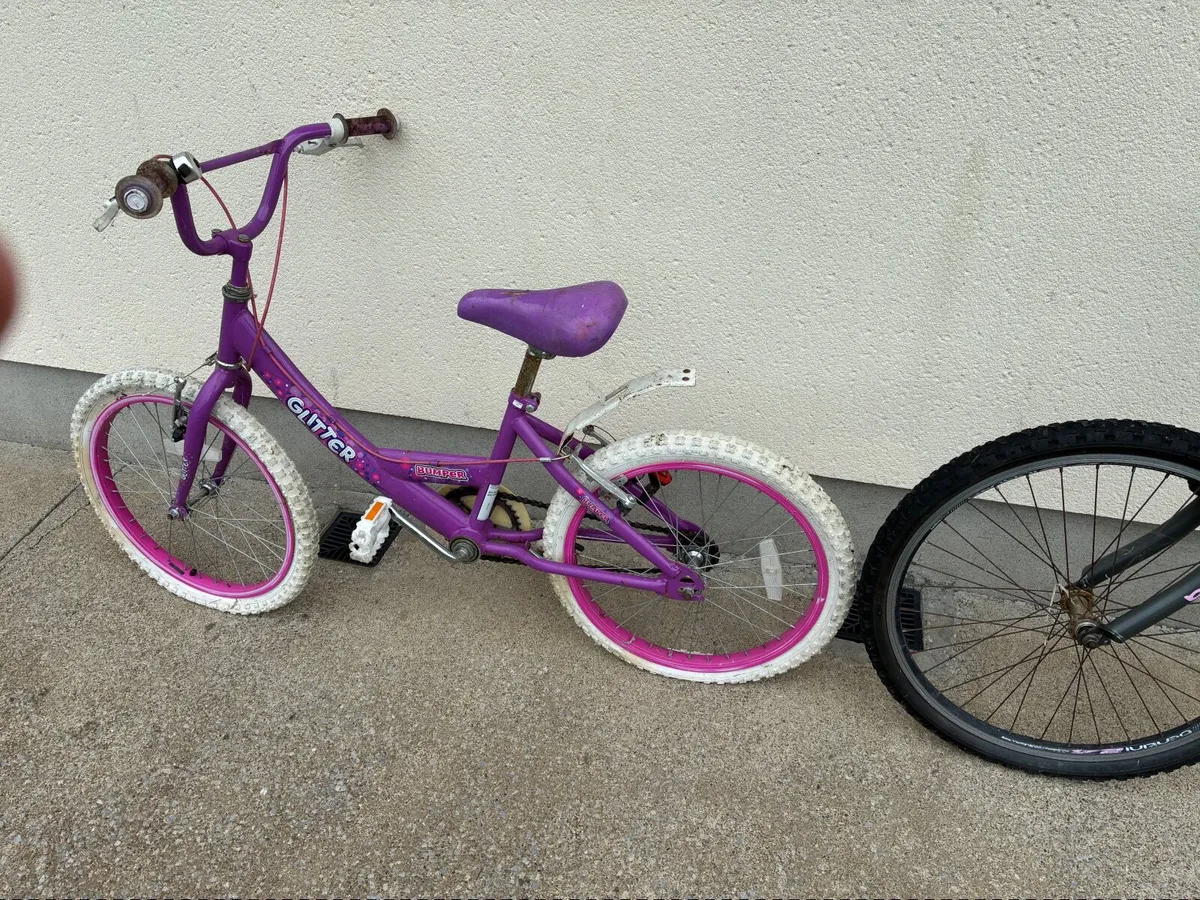 Two Girls Bicycles FREE - Image 2
