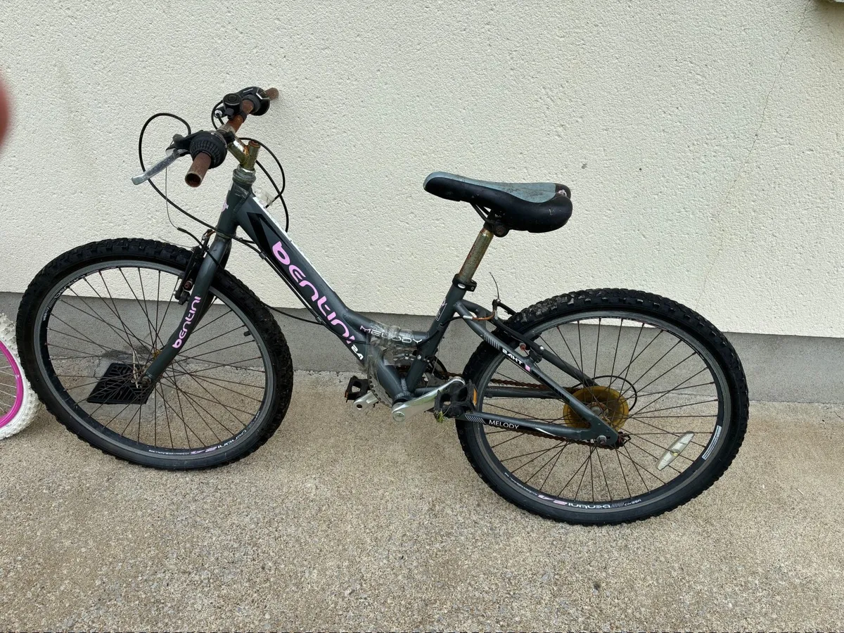Two Girls Bicycles FREE - Image 3