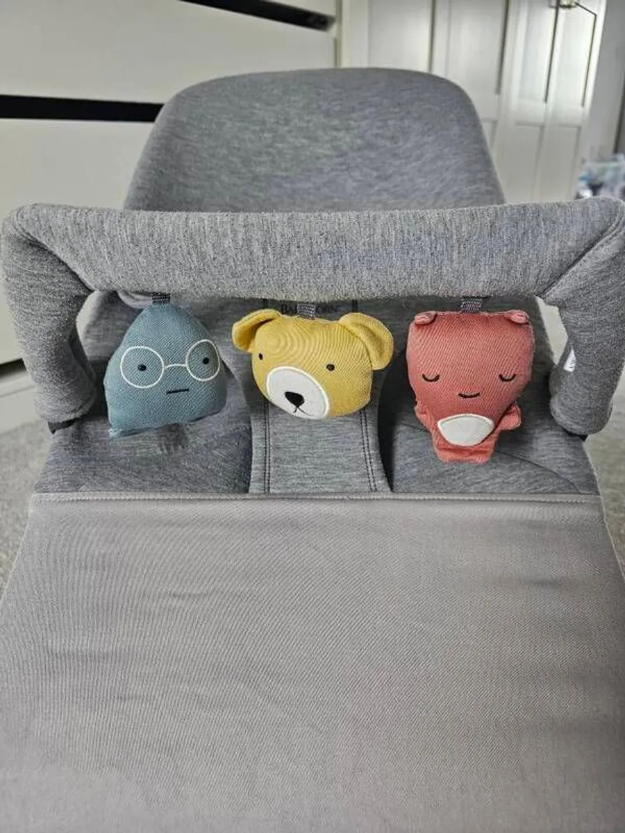 BabyBjorn Bouncer - Image 2