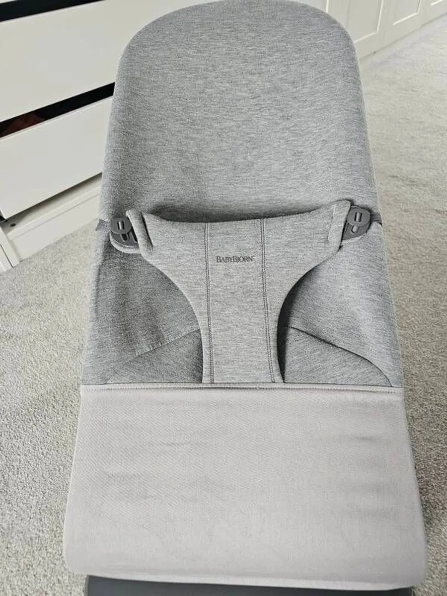 BabyBjorn Bouncer - Image 4