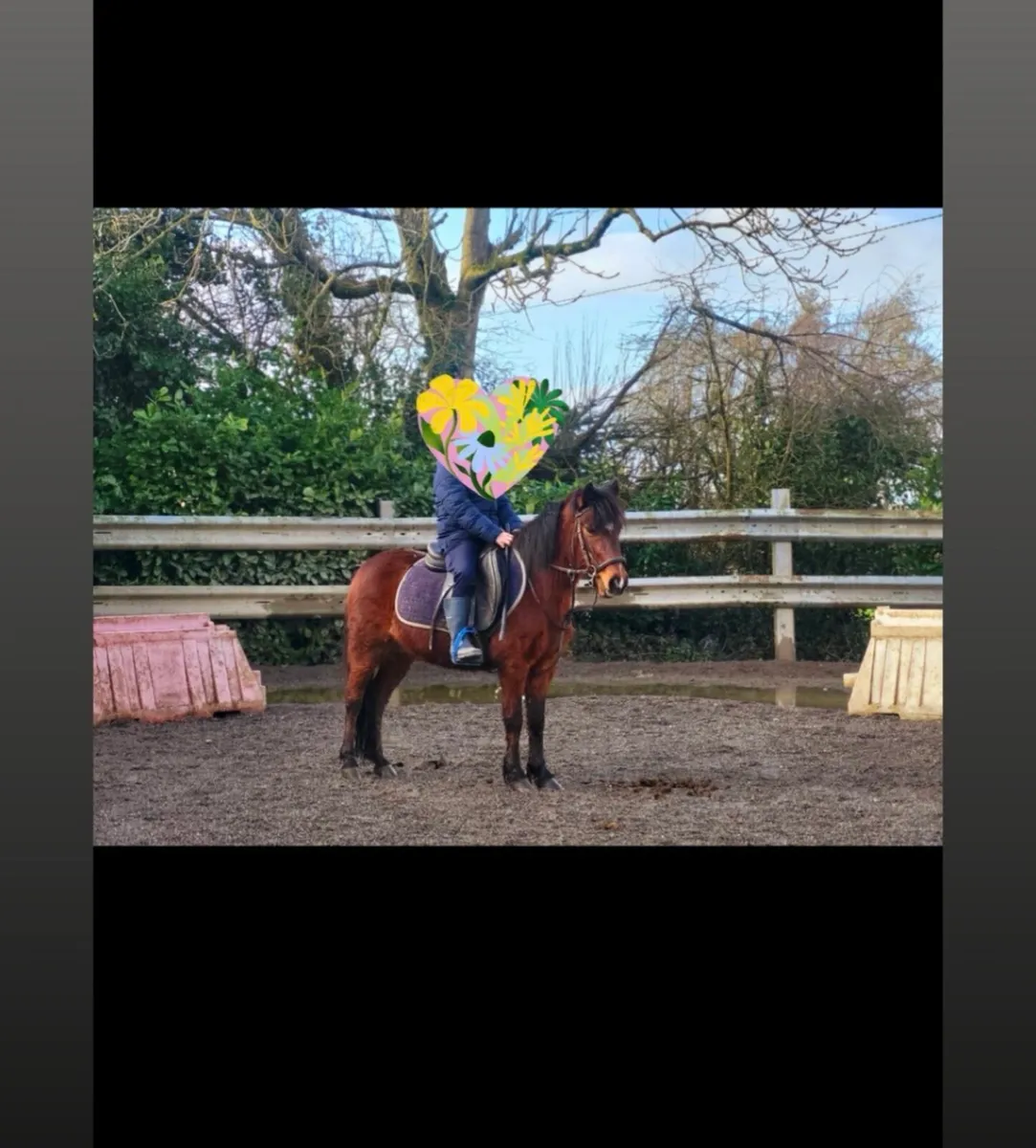 Pony - Image 1