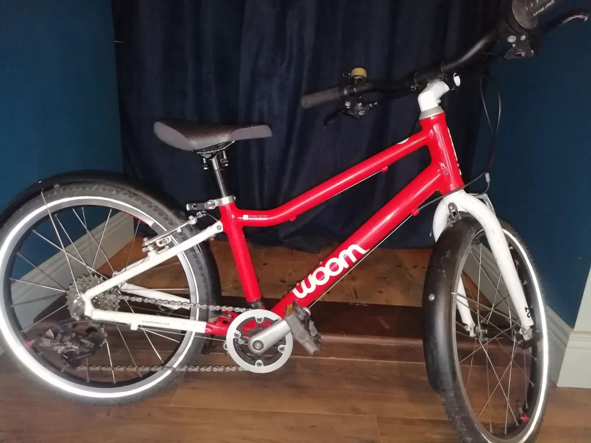Bike - Image 1