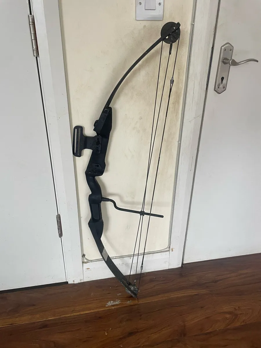 55lbs Compound bow - Image 1