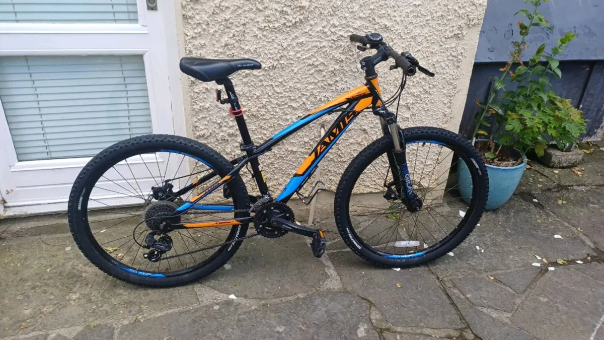Children's mountain bike - Image 1