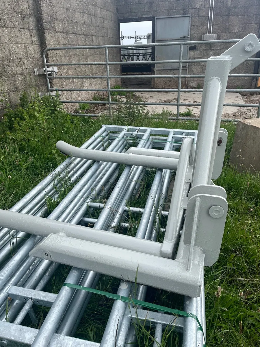 bale lifter - Image 2