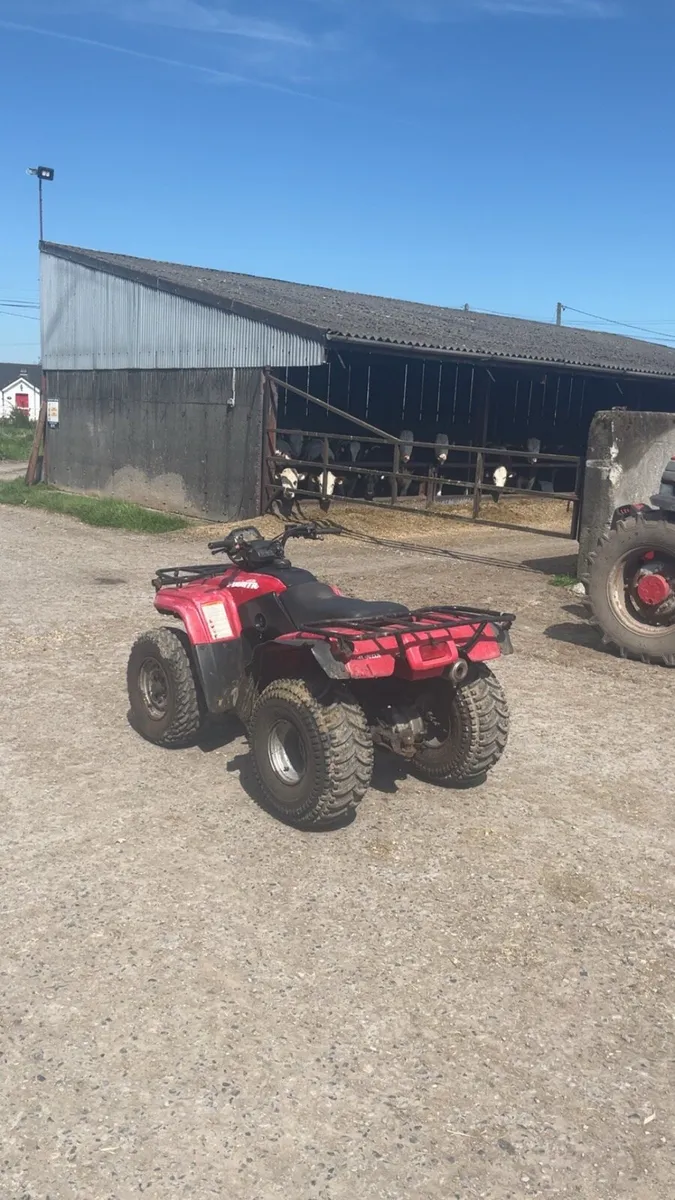 Honda Fourtrax 250 - Image 2