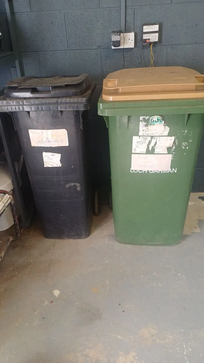 Wheelie bin