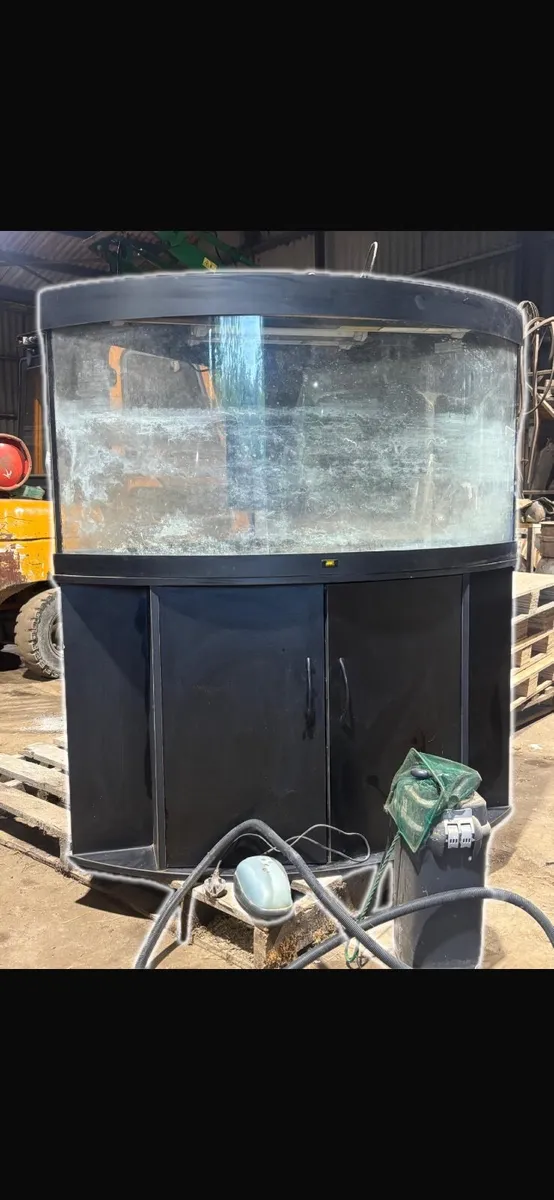 Fish tank