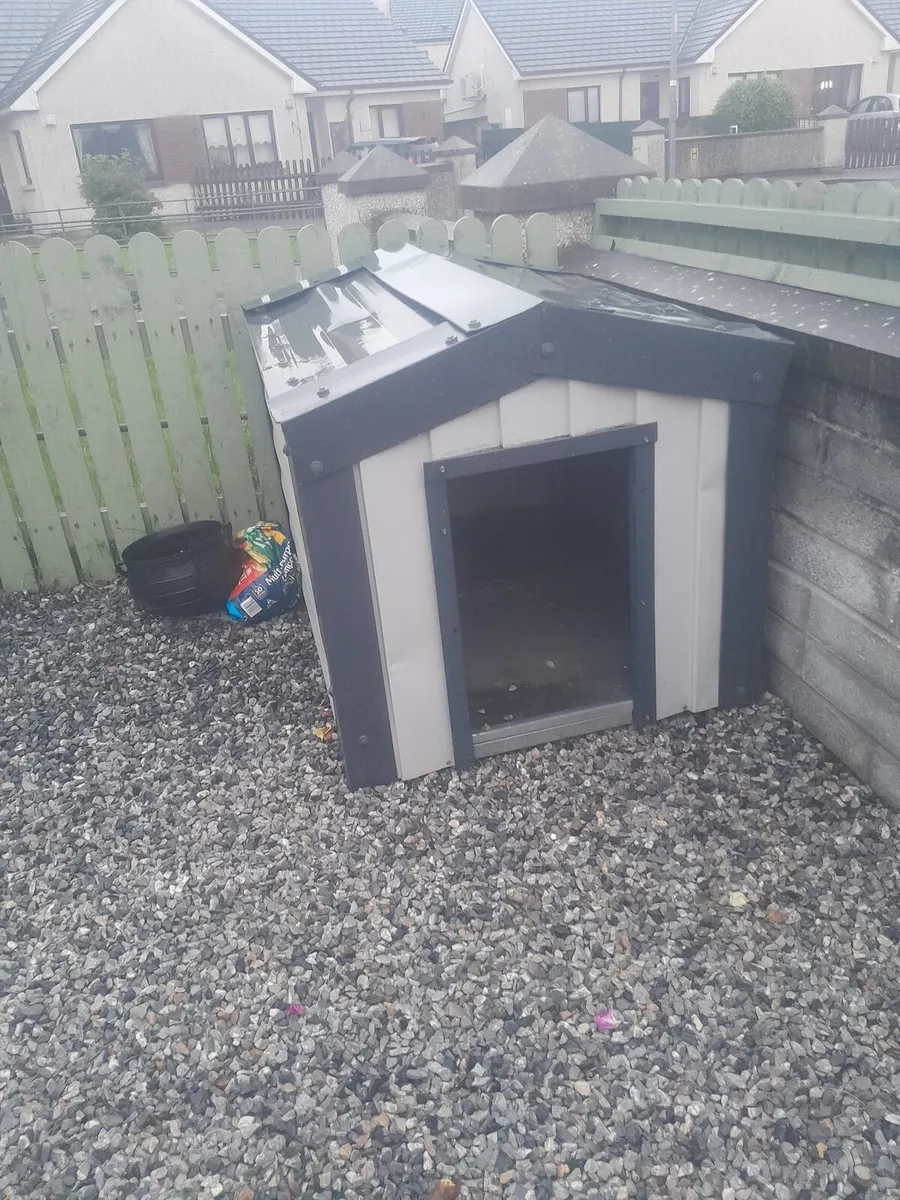 Dog box - Image 1