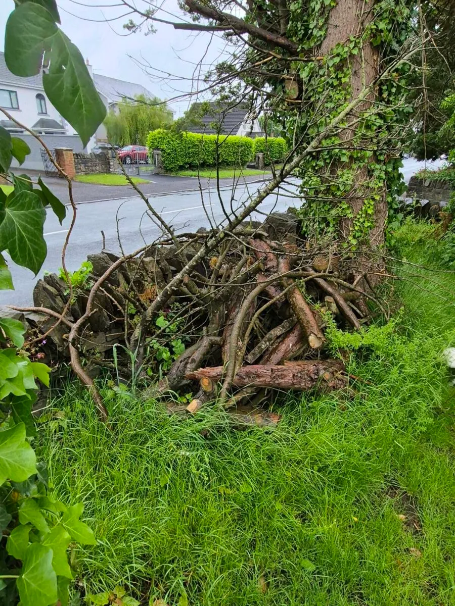 Firewood - Image 1