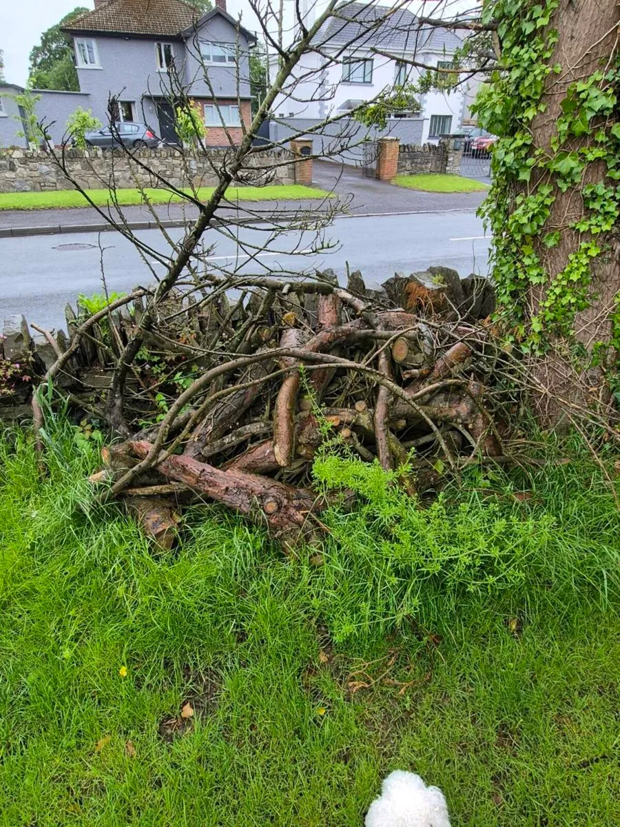 Firewood - Image 2