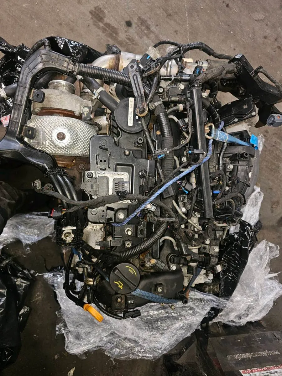 Hyundai  Kia  Engine - Image 4
