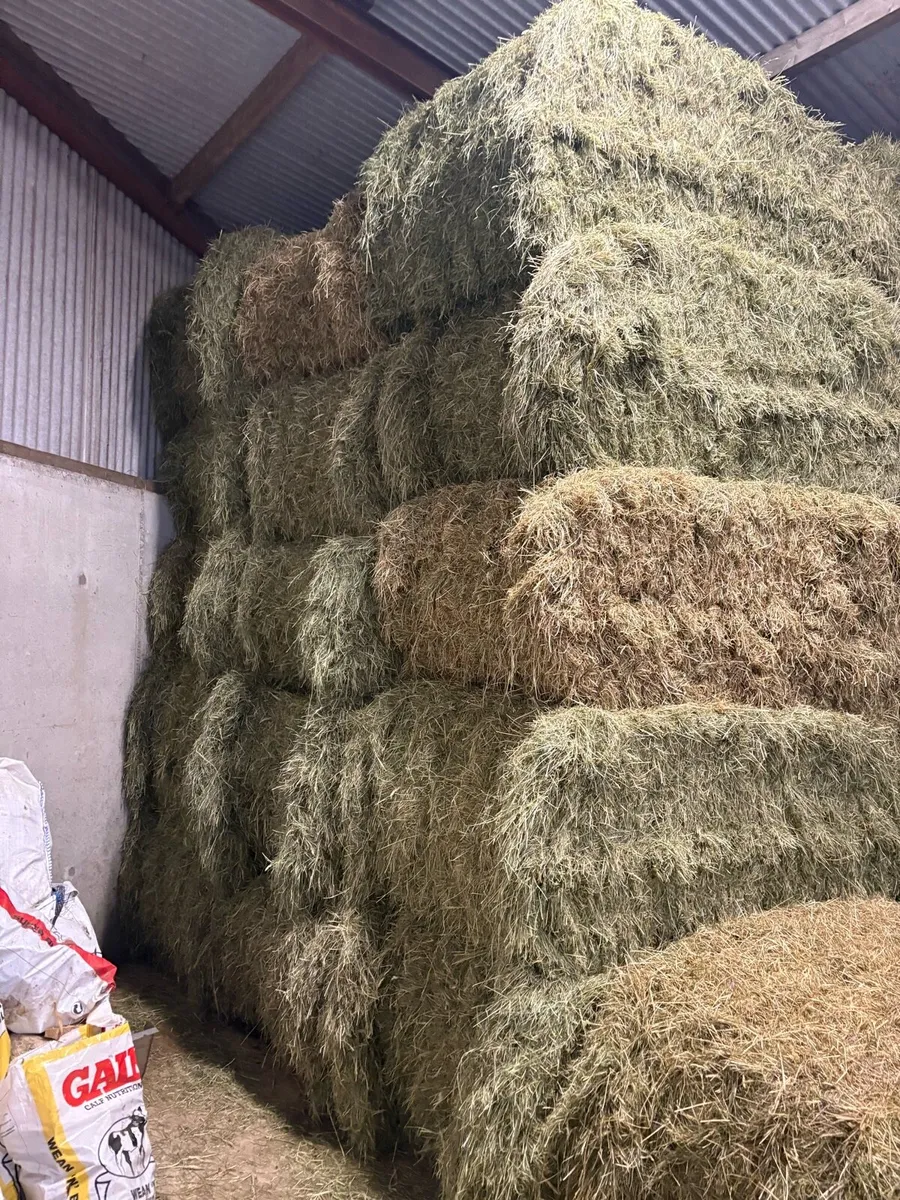 Top quality Hay - Image 1