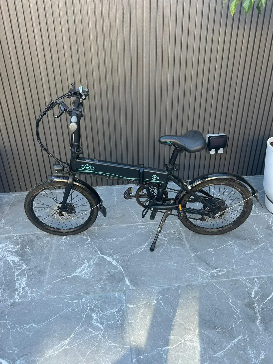 Fiido Electric Bike D4s - Image 2