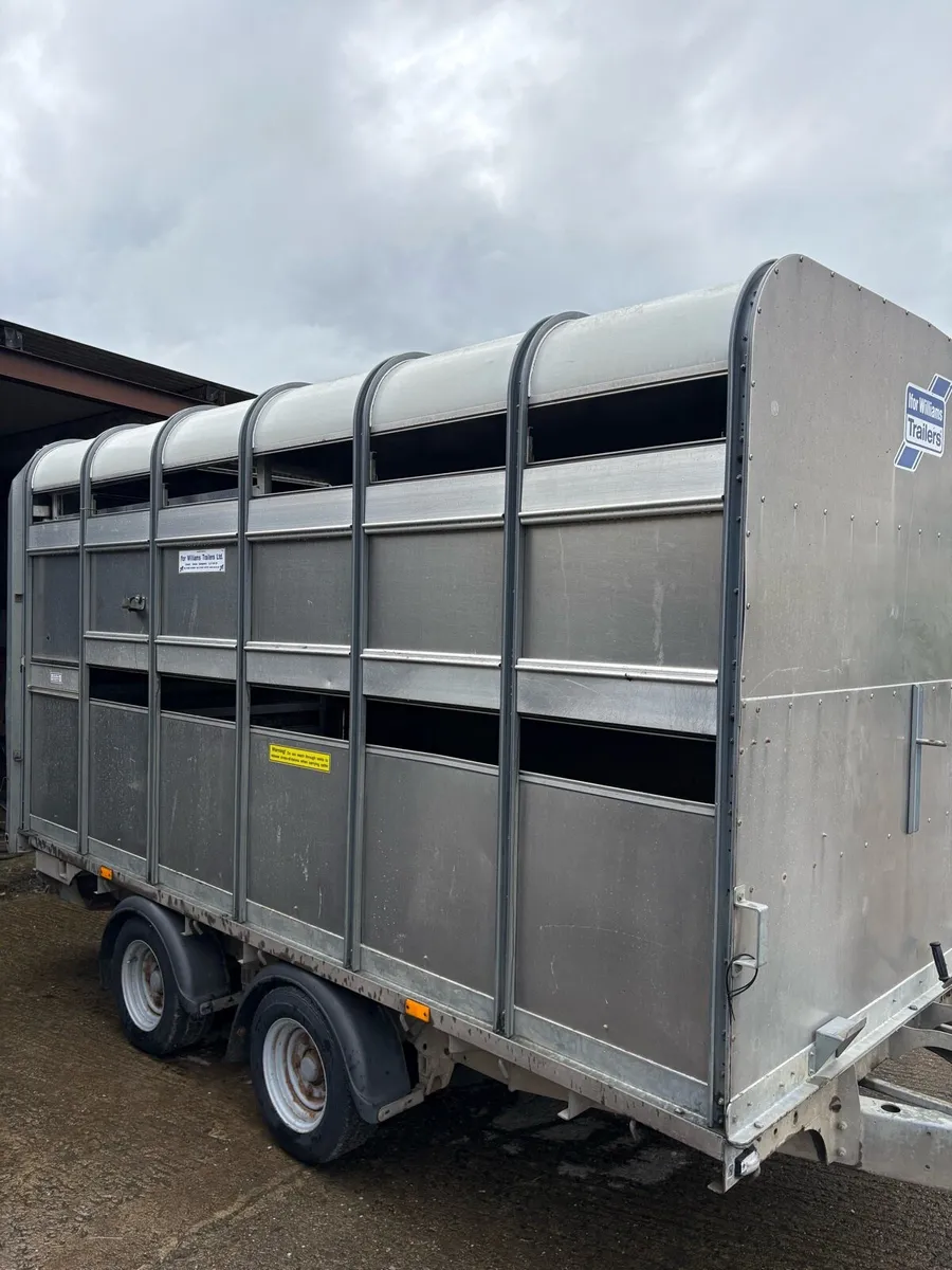 Ifor Williams 2019 - Image 1