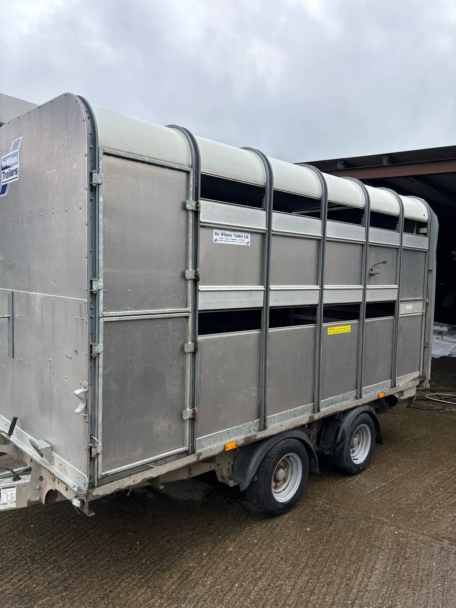 Ifor Williams 2019 - Image 2