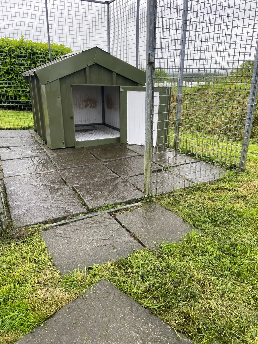 Dog kennel and run - Image 4