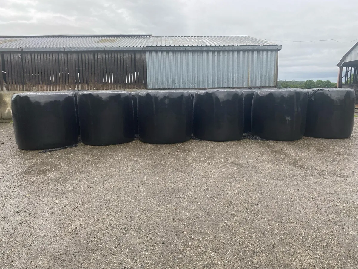 Haylage - Image 2