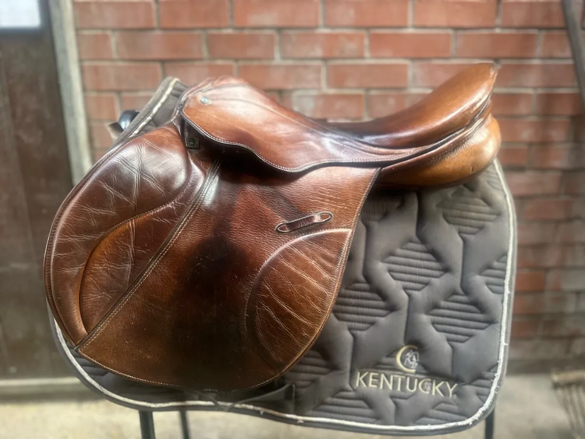 Stubben saddle Veredus boots le mieux - Image 1