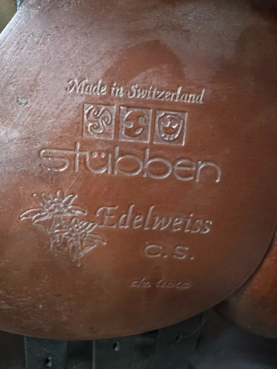 Stubben saddle Veredus boots le mieux - Image 3