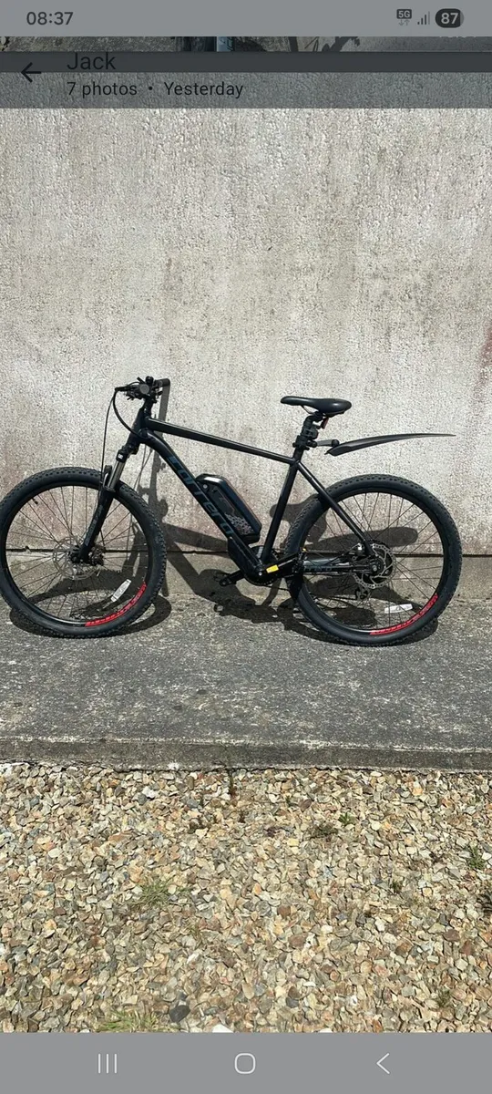 Electric mountain bike