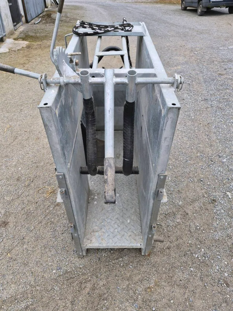 Calf dehorning crate - Image 4