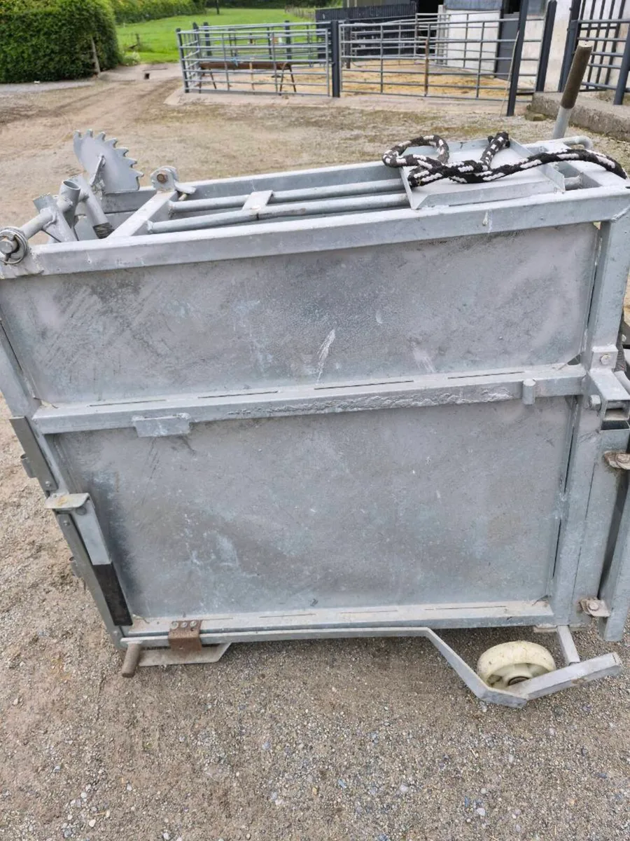 Calf dehorning crate - Image 2