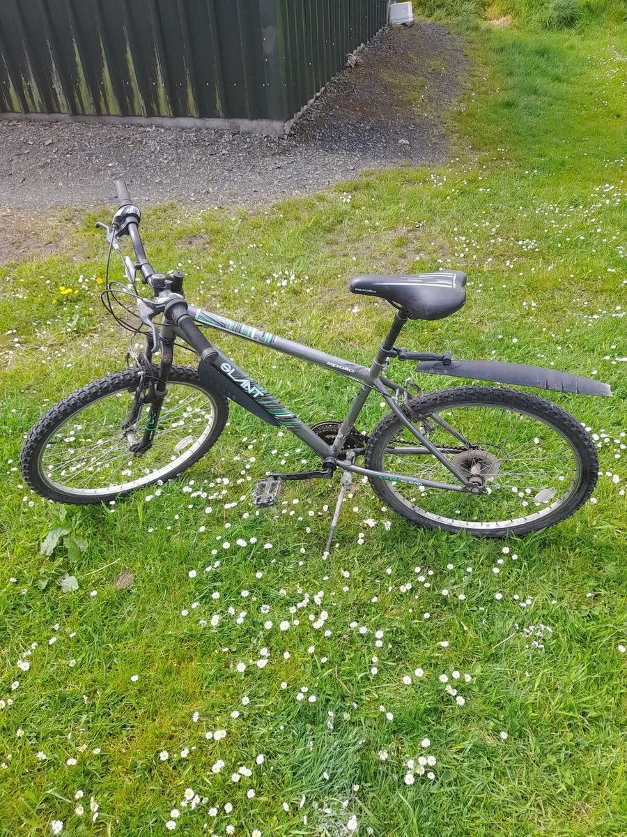 Teenage bike - Image 1