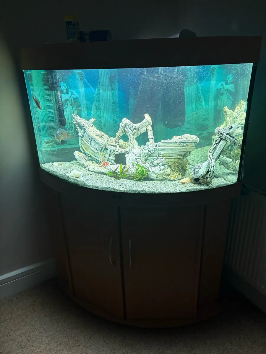 Juwel 190l fish tank and cabinet set - Image 2