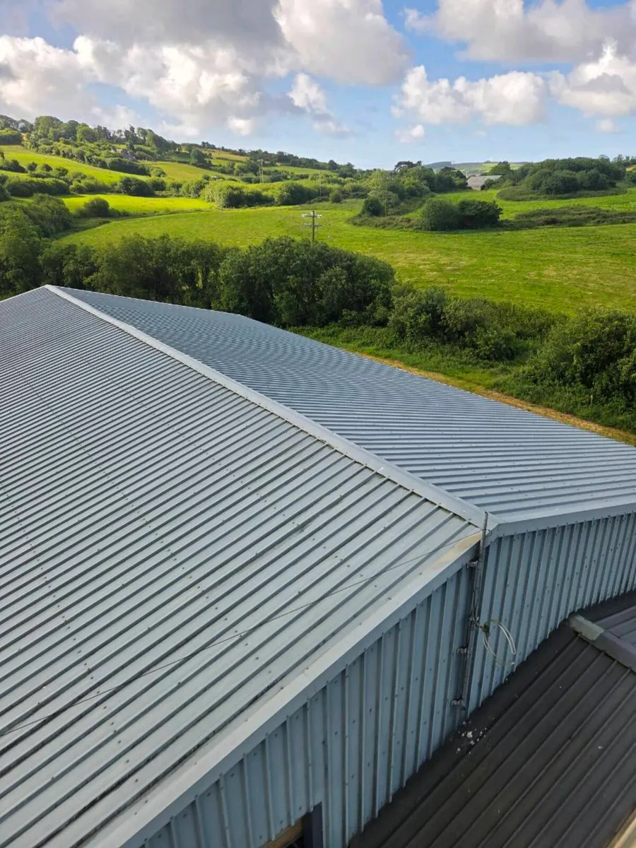 Roof Sheeting Non-Drip - Image 3