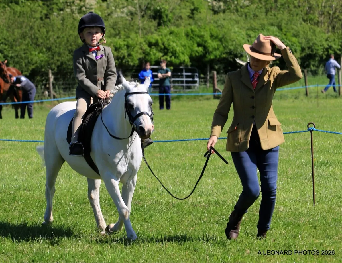 11.2 lead rein pony - Image 3