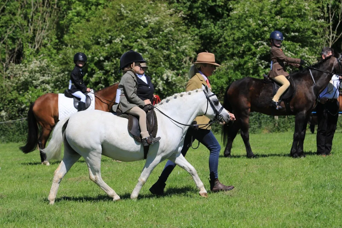 11.2 lead rein pony - Image 2