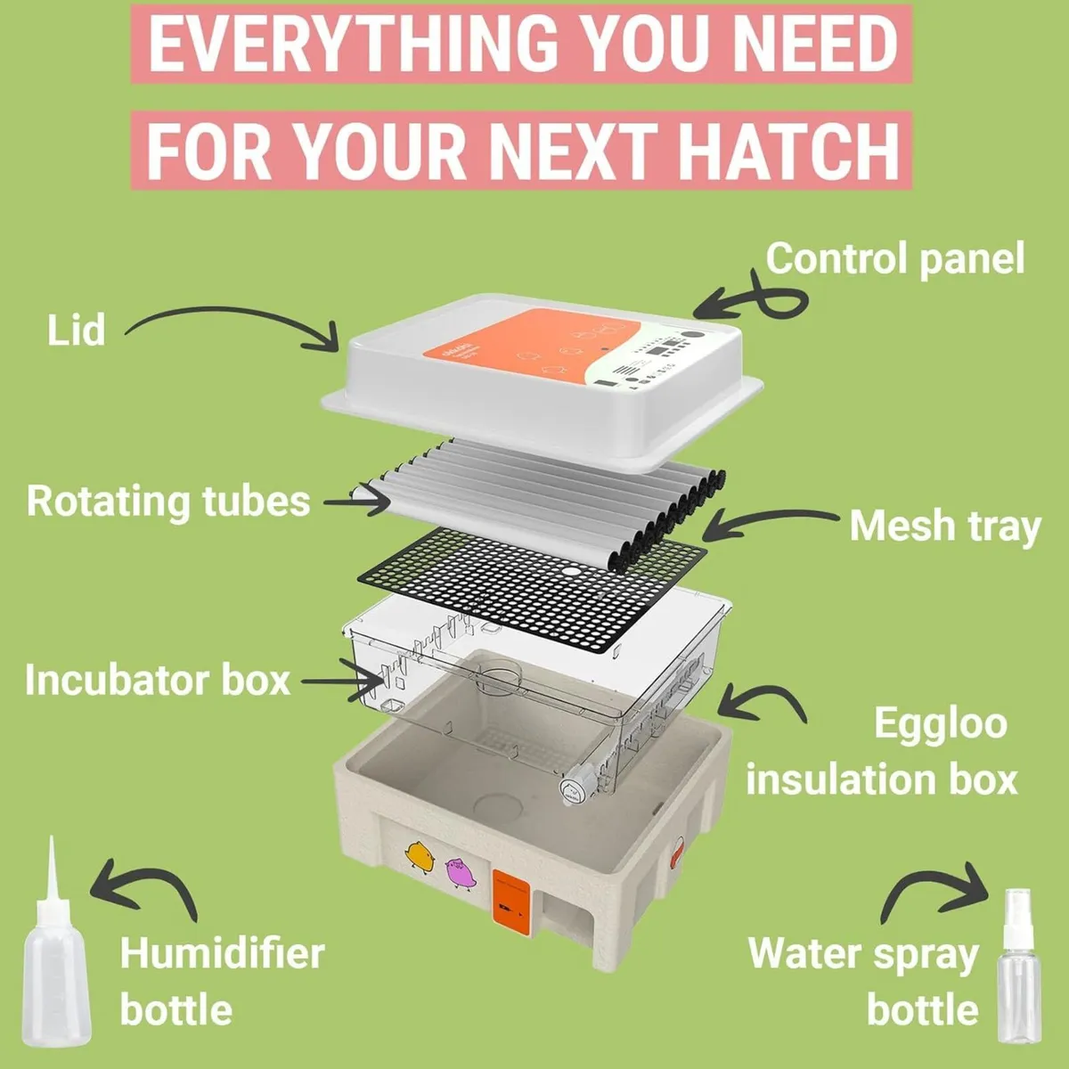 36 Egg Incubator with Auto Turner for Poultry - Image 3