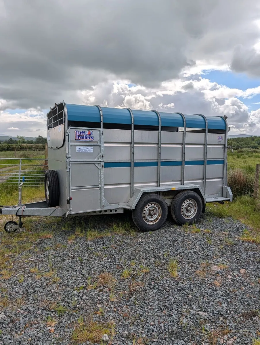 Cattle Trailer - Image 2