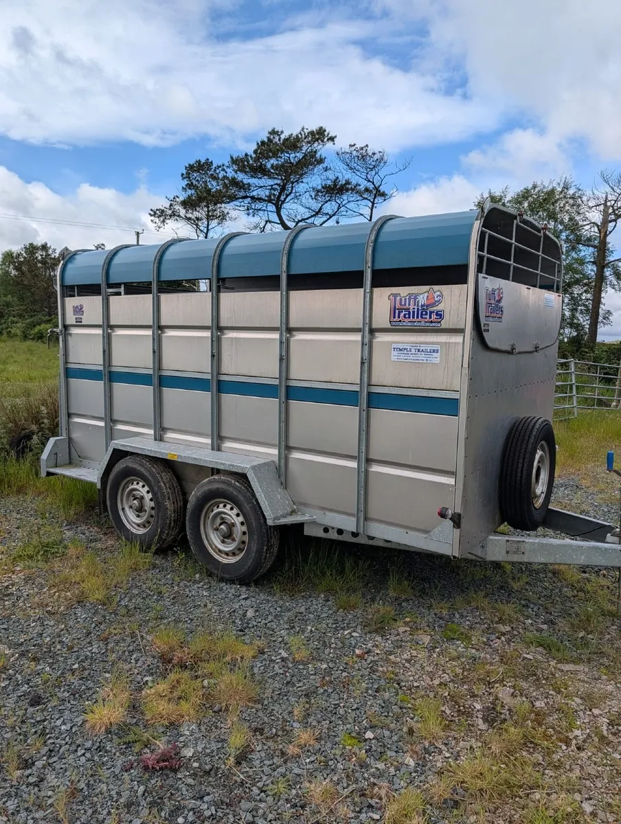Cattle Trailer - Image 1