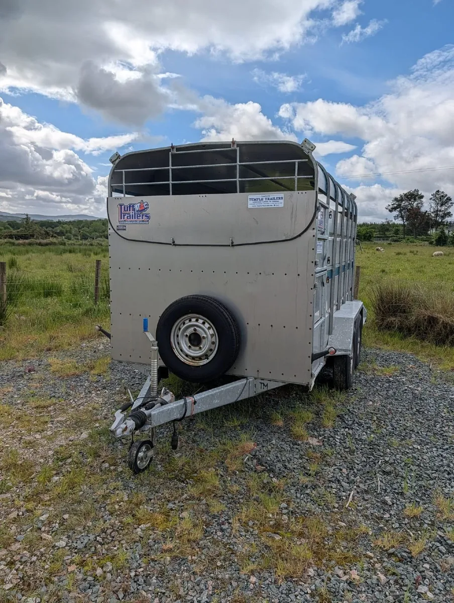 Cattle Trailer - Image 3