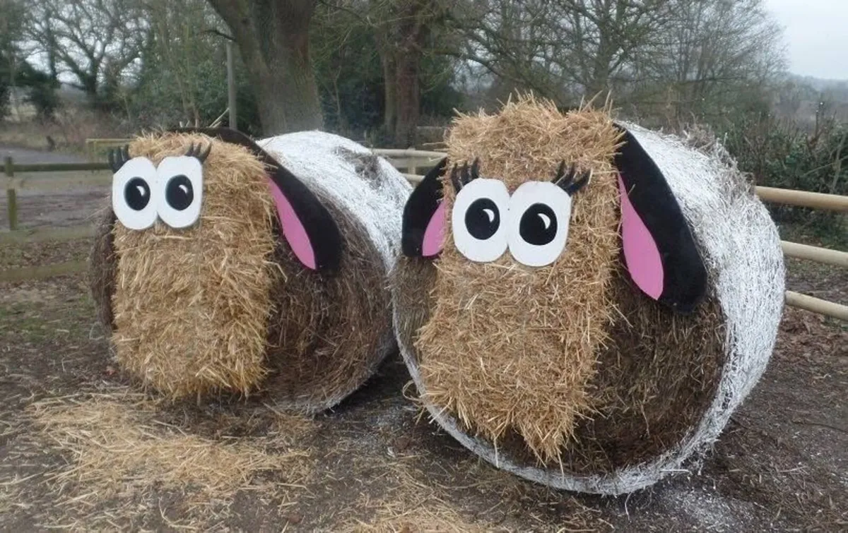 Hay