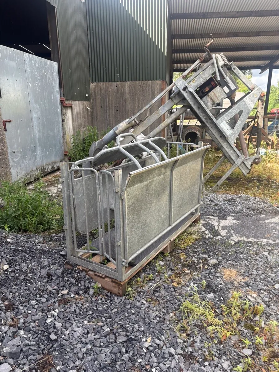 Sheep roll over crate - Image 1