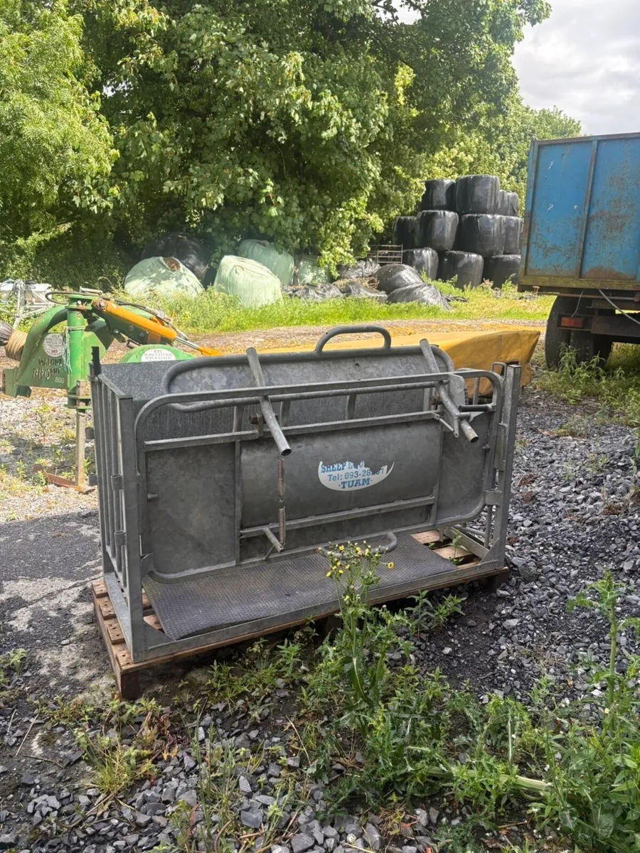 Sheep roll over crate - Image 2