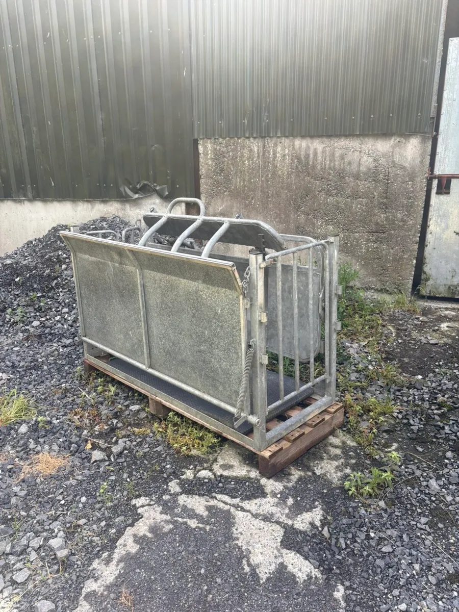 Sheep roll over crate - Image 3